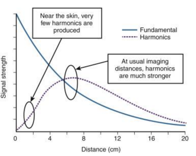 <p>tissue harmonics ___ throughout the length sound beam</p>