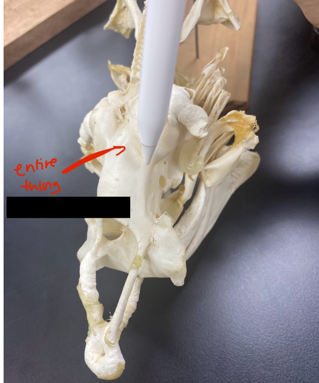 <p>What part is this</p>