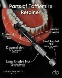<p>Holder for matrix band</p>