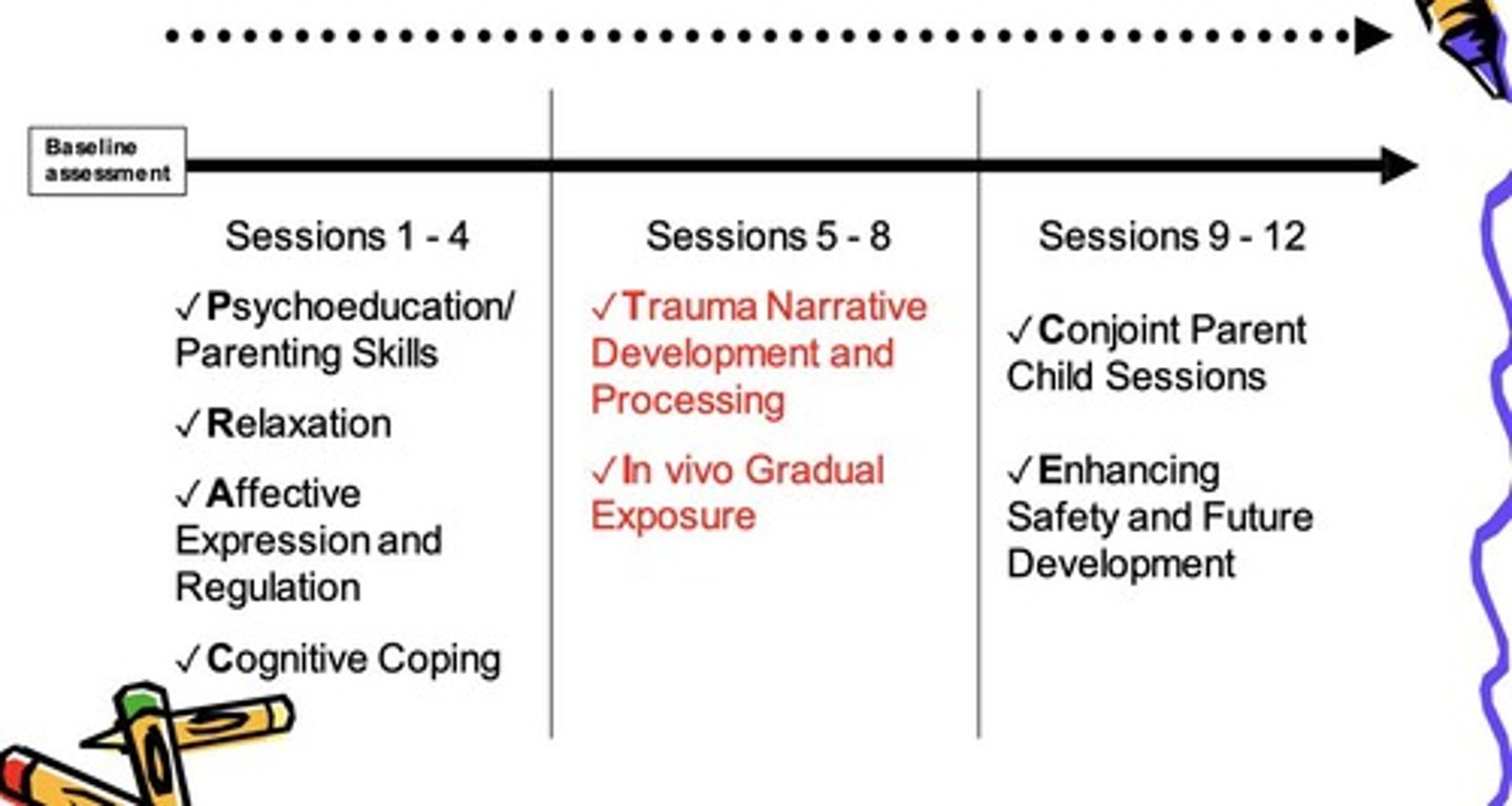 <p>PRACTICE includes Psychoeducation, Relaxation, Affective Modulation, Cognitive Processing, Trauma Narrative, In Vivo Desensitization, and Conjoint parent-child sessions.</p>