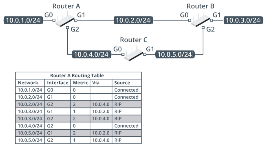 <p>Routing Information Protocol (RIP part 2)</p>