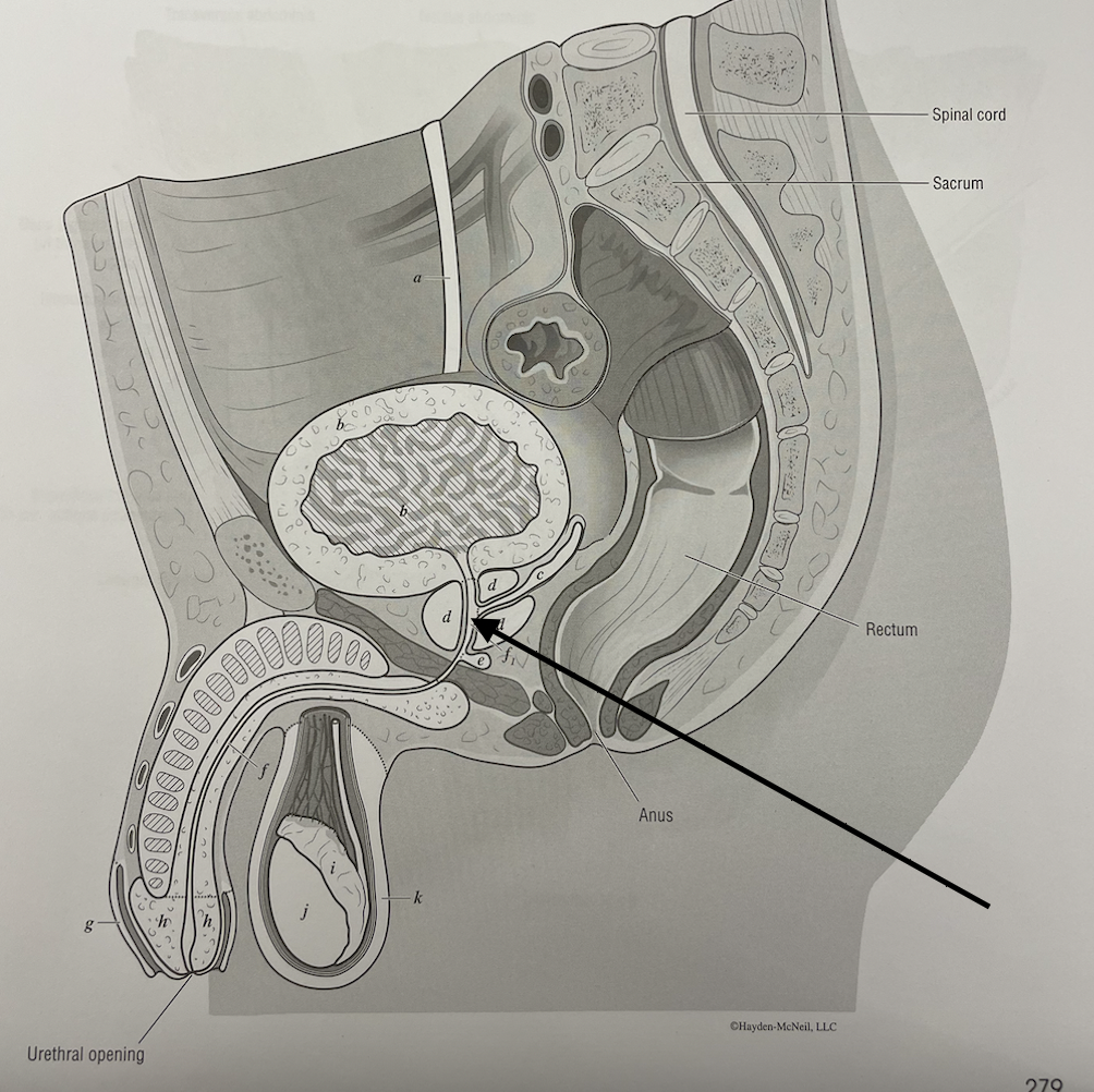 <p>what structure is this</p>