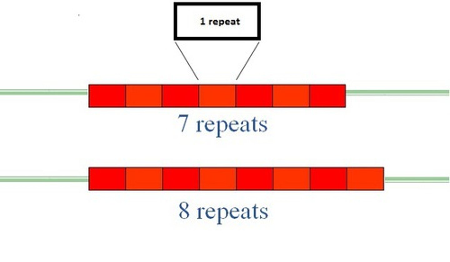 <p>Short sequences of DNA that are tandemly repeated as many as 10 million times in the DNA; much of it is located in the telomeres</p>