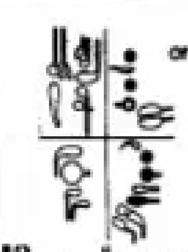 <p>1 2 / 1 2 3 </p>