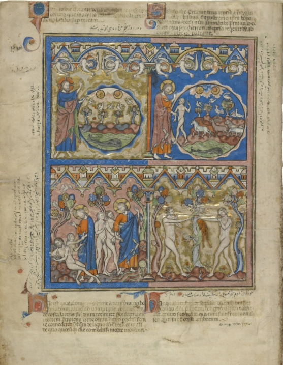 <p>Crusader Bible</p>