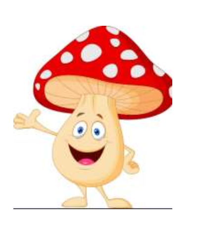 <p>like fungi and bacteria breaks down materials creating. very simple molecular wastes that can directly be reused again by producers <strong>they don’t poop.</strong></p>