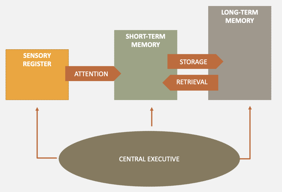 <p>the process by which information is initially recorded, stored and retrieved</p>