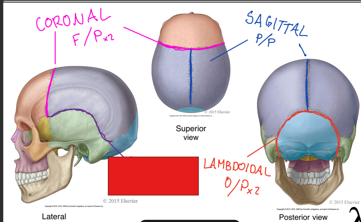 <p>fill in the red box:</p>