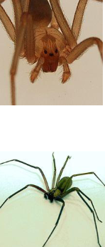 <p>What is this</p>