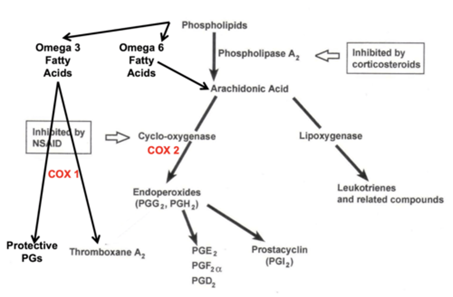 <p>take oral NSAIDs with food</p><p>why? - NSAIDs can decrease healthy prostaglandins of the stomach</p>