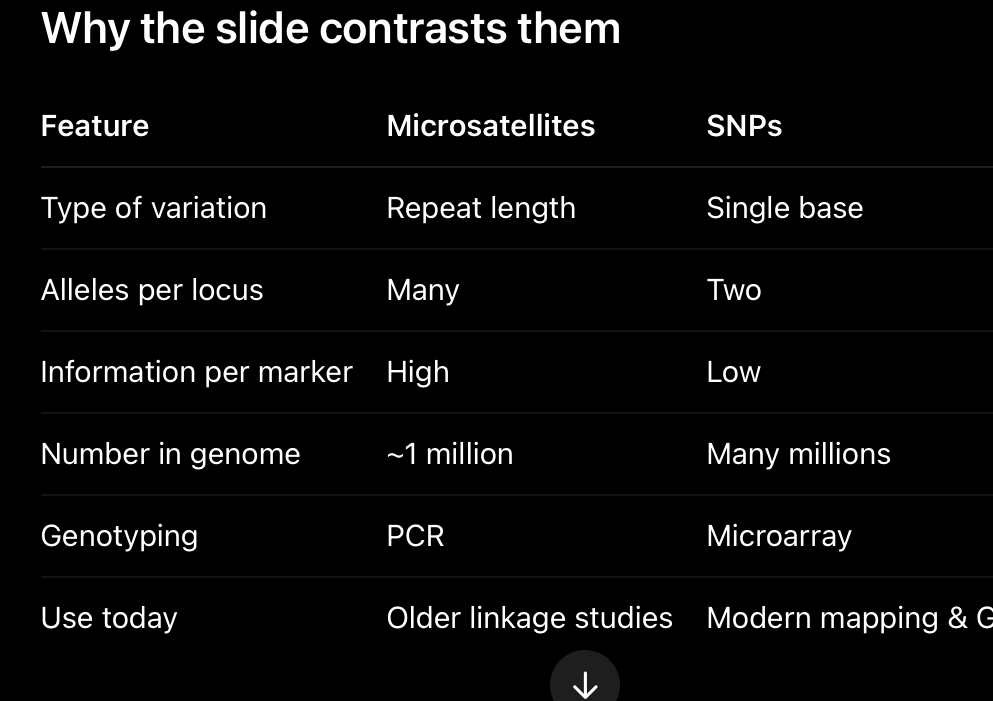 <p>What are genetic markers?</p>