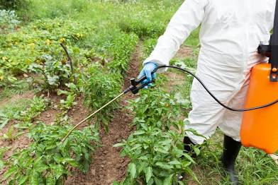 <p>Synthetic pesticides </p>