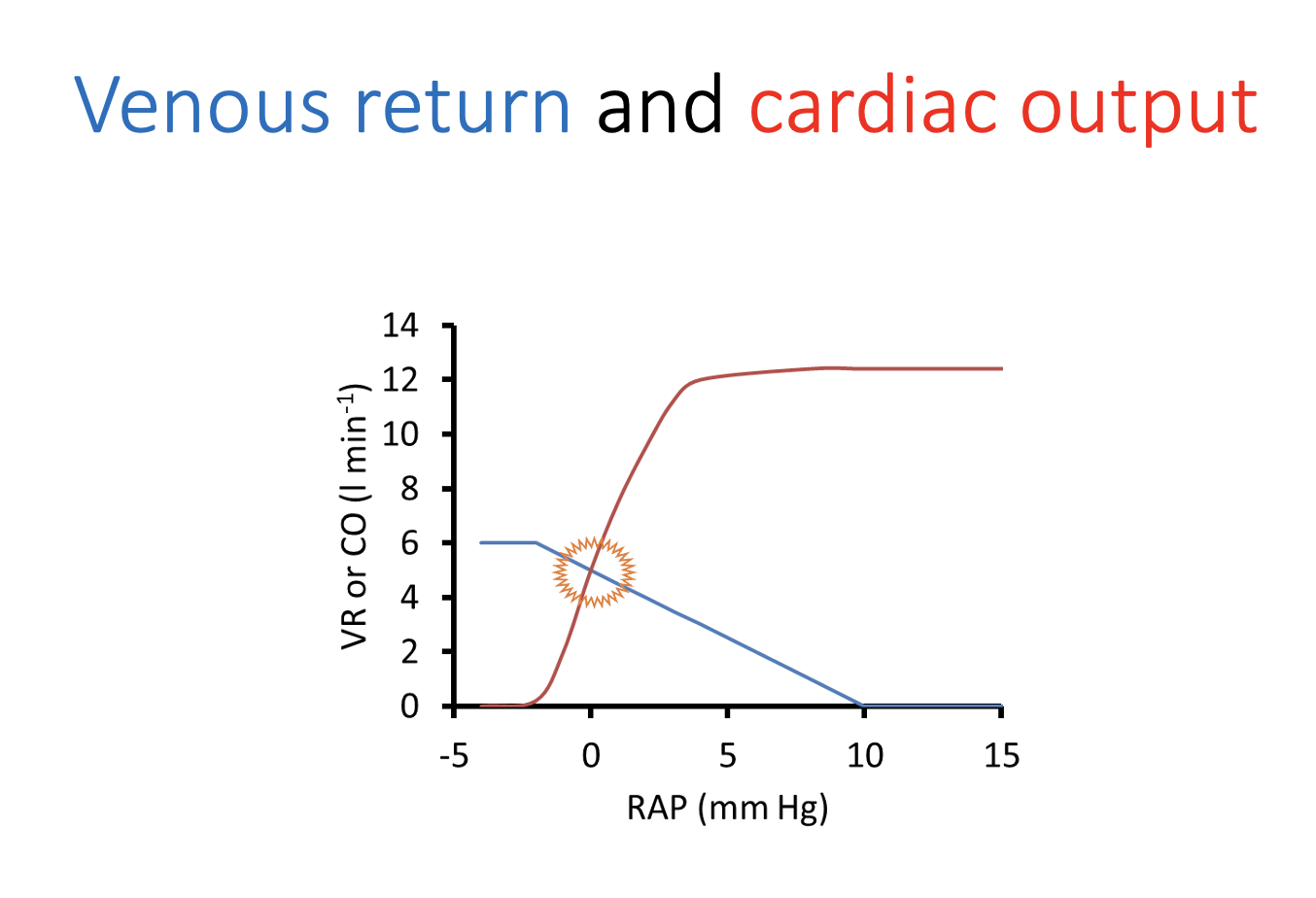 <ul><li><p>CO would transiently exceed venous return</p></li><li><p>which would cause RAP to drop until VR and CO became equal again</p></li></ul><p></p>