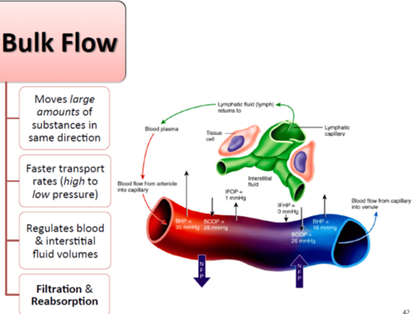 <p>What is bulk flow? </p>