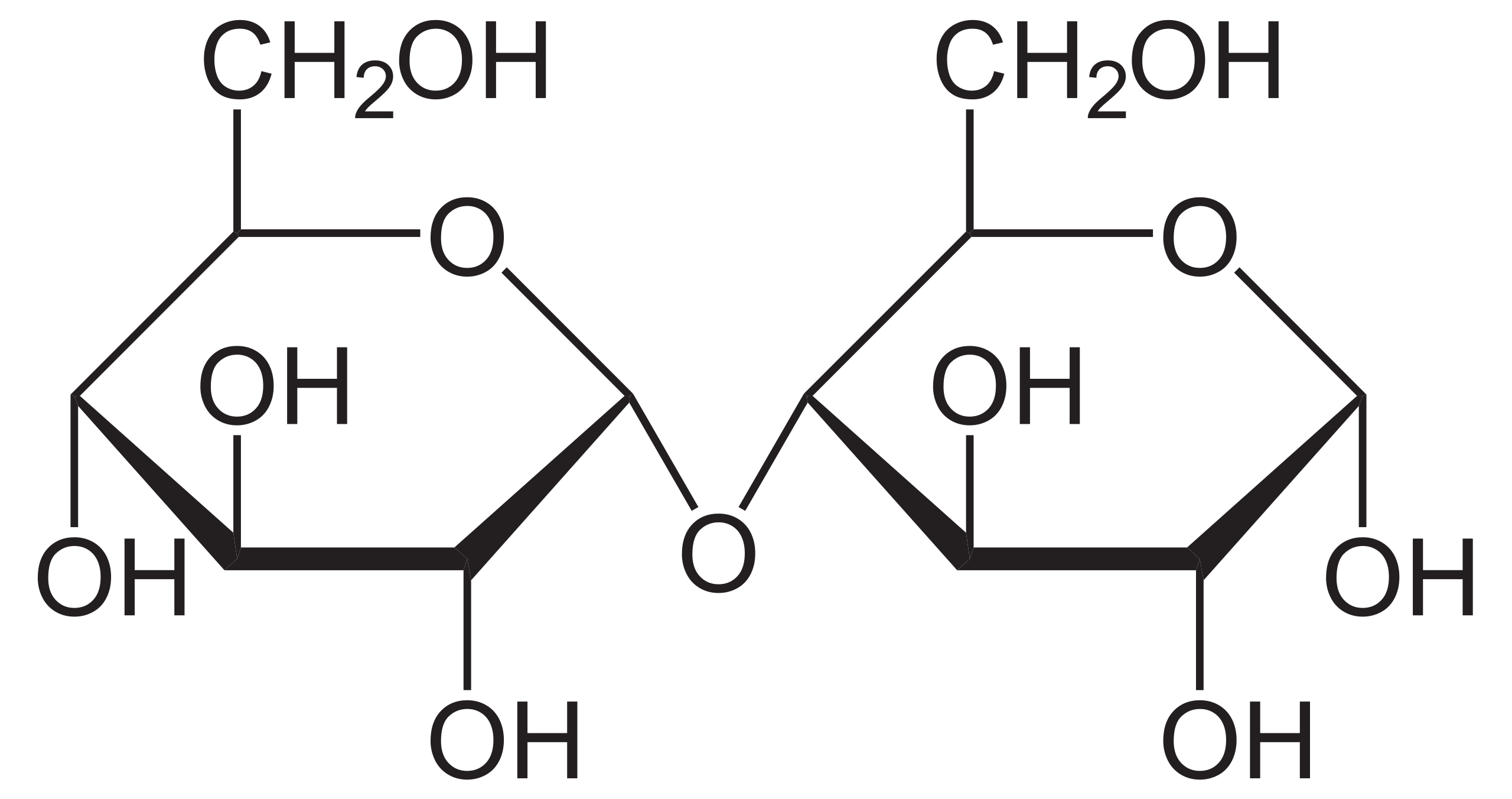 <p>made of glucose (more branched) can be 1-4 or 1-6 alpha glycosidic bonds</p>