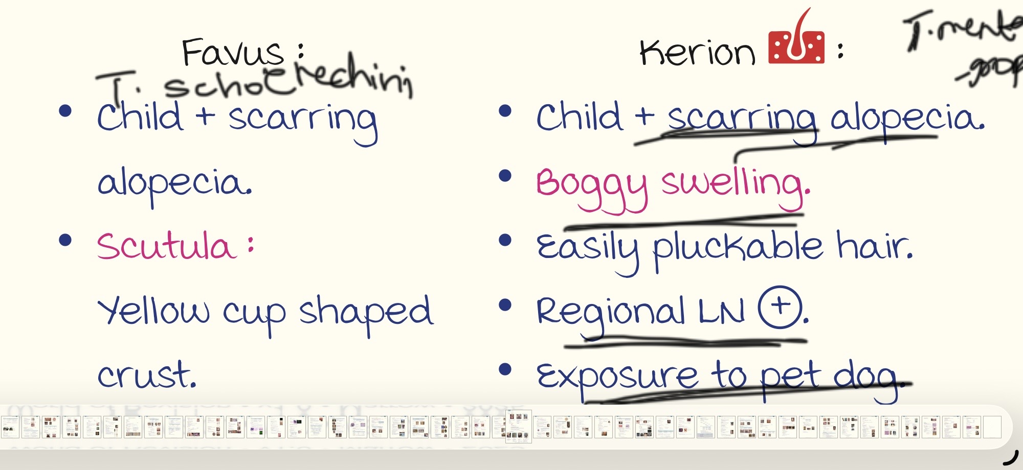 knowt flashcard image