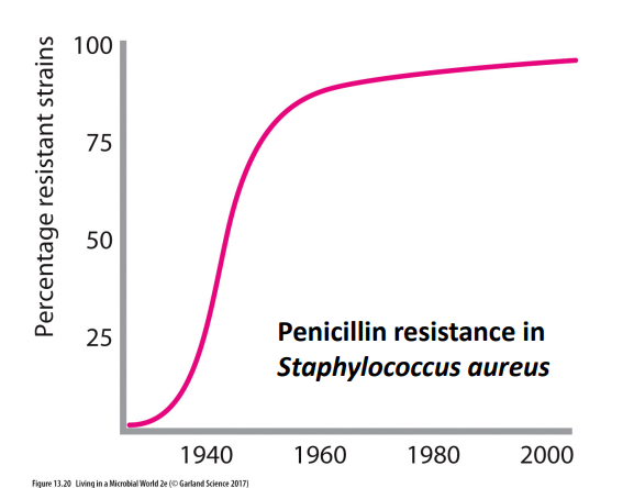 <p>Antibiotic misuse has lead to drug resistance</p>