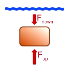 <p>Pressure is proportional to surface area and depth → proportional to force → it is greater on the bottom of the object → points up</p>