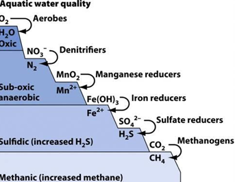 <ul><li><p>aquatic water quality and denitrification</p></li></ul><p></p>