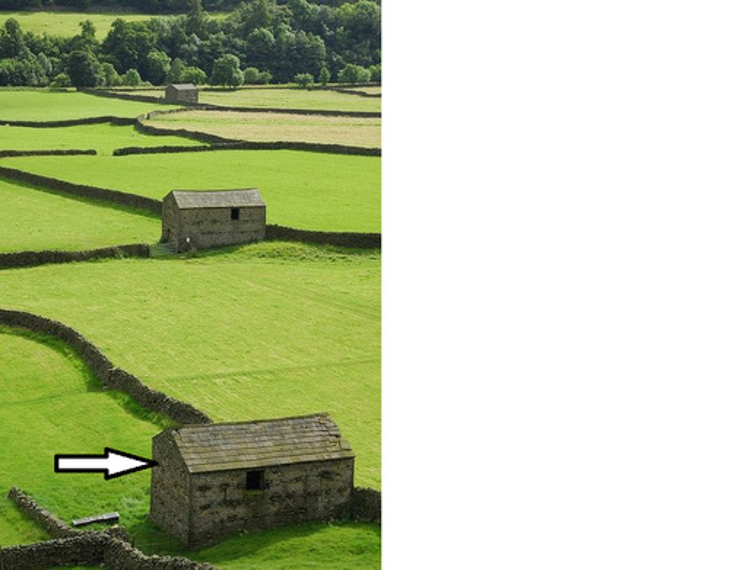 <p>der Vordergrund</p>