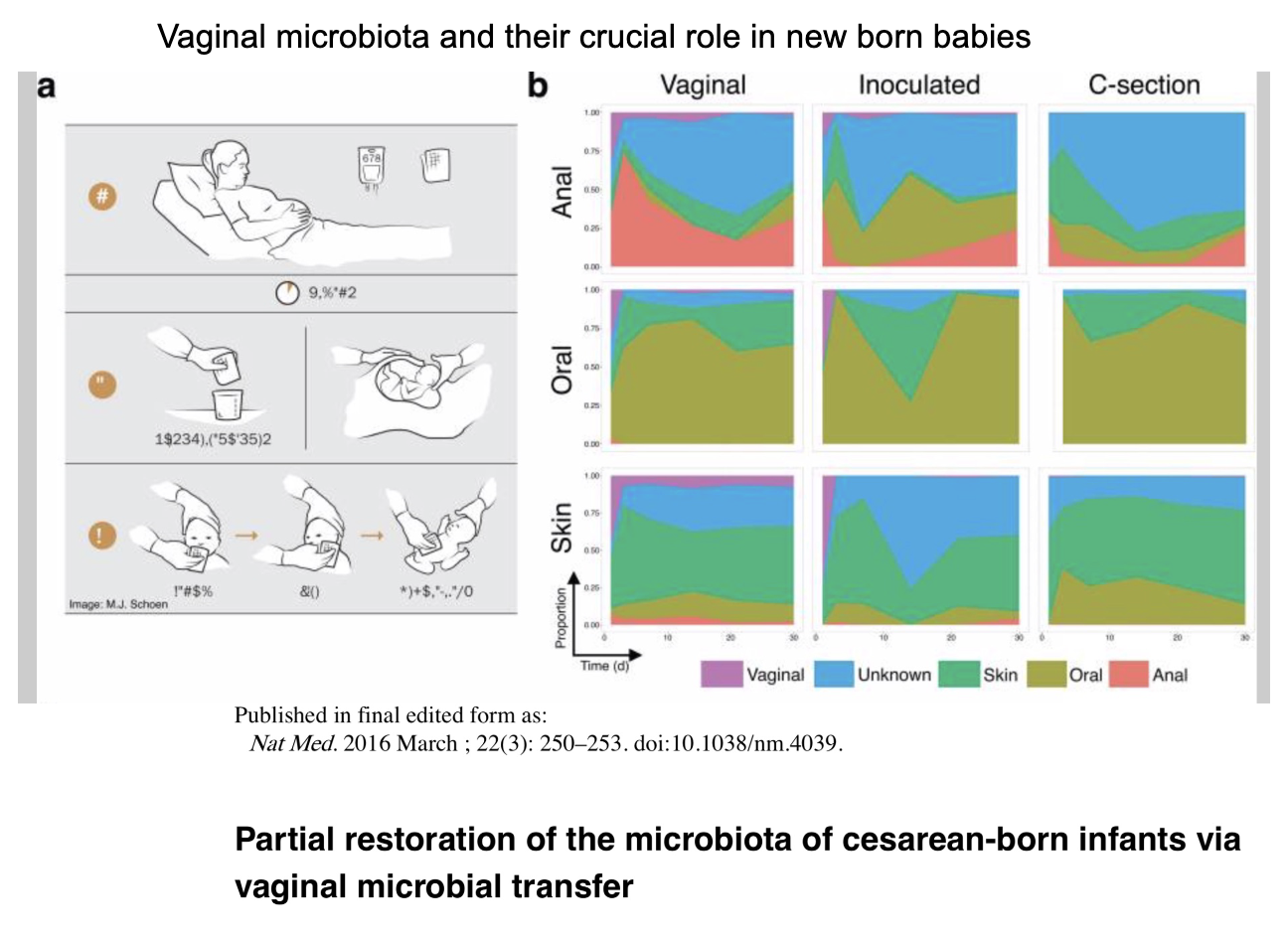 <ul><li><p>C-section babies lack full exposure to maternal microbiota</p></li><li><p>Vaginal microbial transfer → partially restores infant microbiota</p><ul><li><p>Take clean cloth, absorb vaginal secretion and rub it on newborn</p></li></ul></li></ul><p></p>