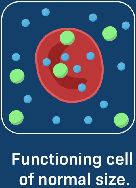 knowt flashcard image