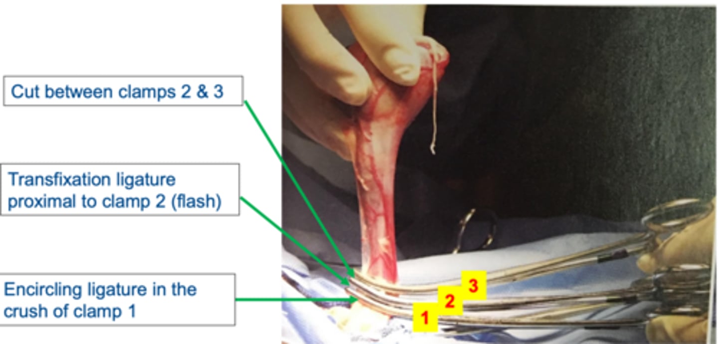 <p>what is shown here</p>