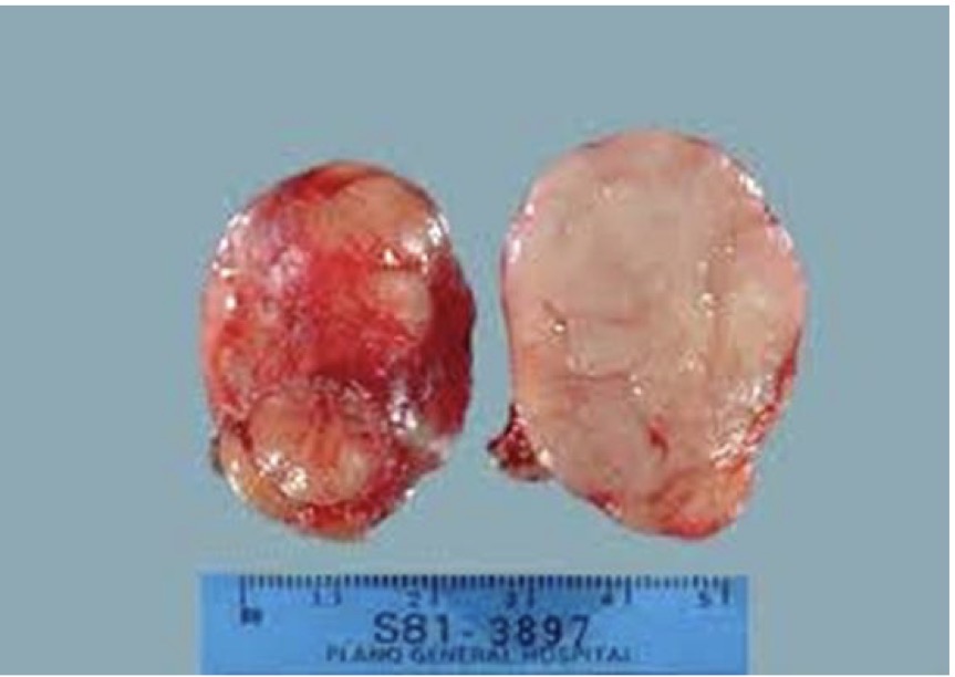 <p>A- identify</p><p>B- describe</p><p>C- originate from ?</p>