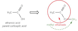 <ol><li><p>remove the -oic acid suffix from parent carboxylic acid and replace with -oate</p></li><li><p>alkyl chain attached to oxygen atom of the COO group is then added as the first word in name</p></li></ol><p></p>