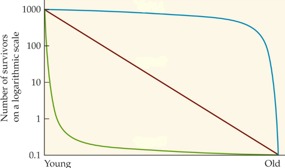 <p>what type does the GREEN line represent? (I/II/III)</p>