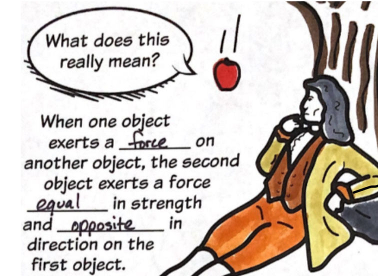 <p>Every action has an equal and opposite reaction</p>