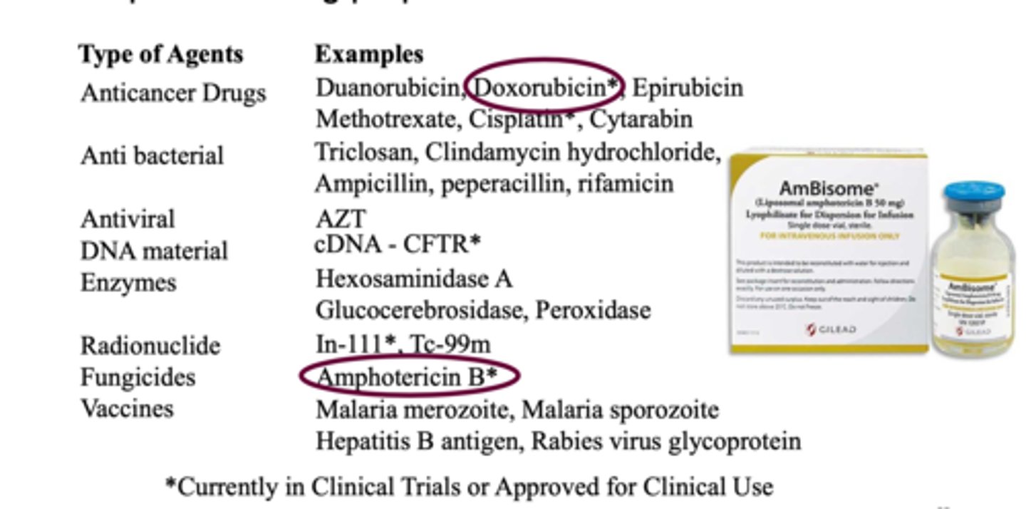<p>*currently in clinical trials or approved for clinical use</p>