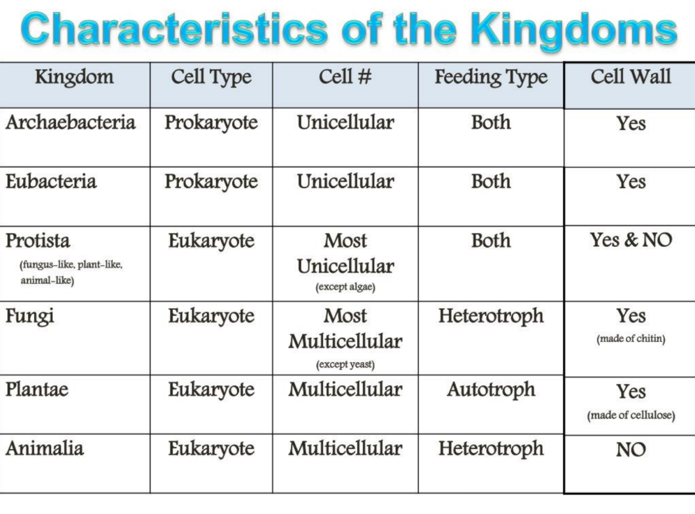 <ol><li><p>Cell Type: eukaryote vs prokaryote</p></li><li><p>Cell Number: multicellular vs unicellular</p></li><li><p>Feeding Type: autotroph vs heterotroph</p></li></ol><p></p>