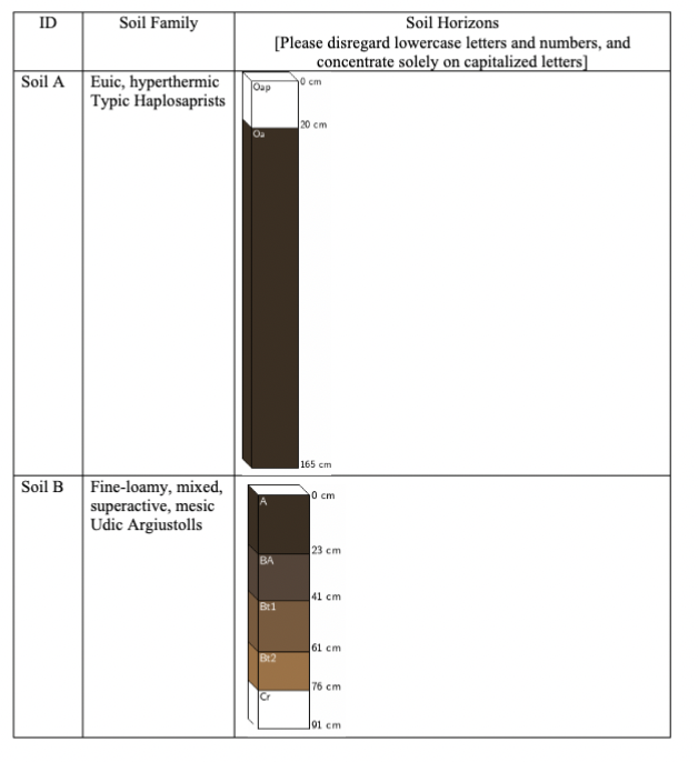 <p>What vegetation type is most likely associated with soil B?</p><p>A. Grassland</p><p>B. Coniferous forest</p><p>C. Deciduous forest</p><p>D. Shrubland</p>