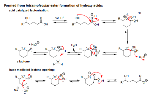 <ul><li><p>Hydroxide opens the lactone to give a hydroxy-carboxylate.</p></li><li><p>Reaction is driven by formation of the carboxylate salt.</p></li><li><p>Ring is irreversibly cleaved under basic conditions.</p></li><li><p>Final protonation gives the hydroxy acid if desired.</p></li></ul><p></p>
