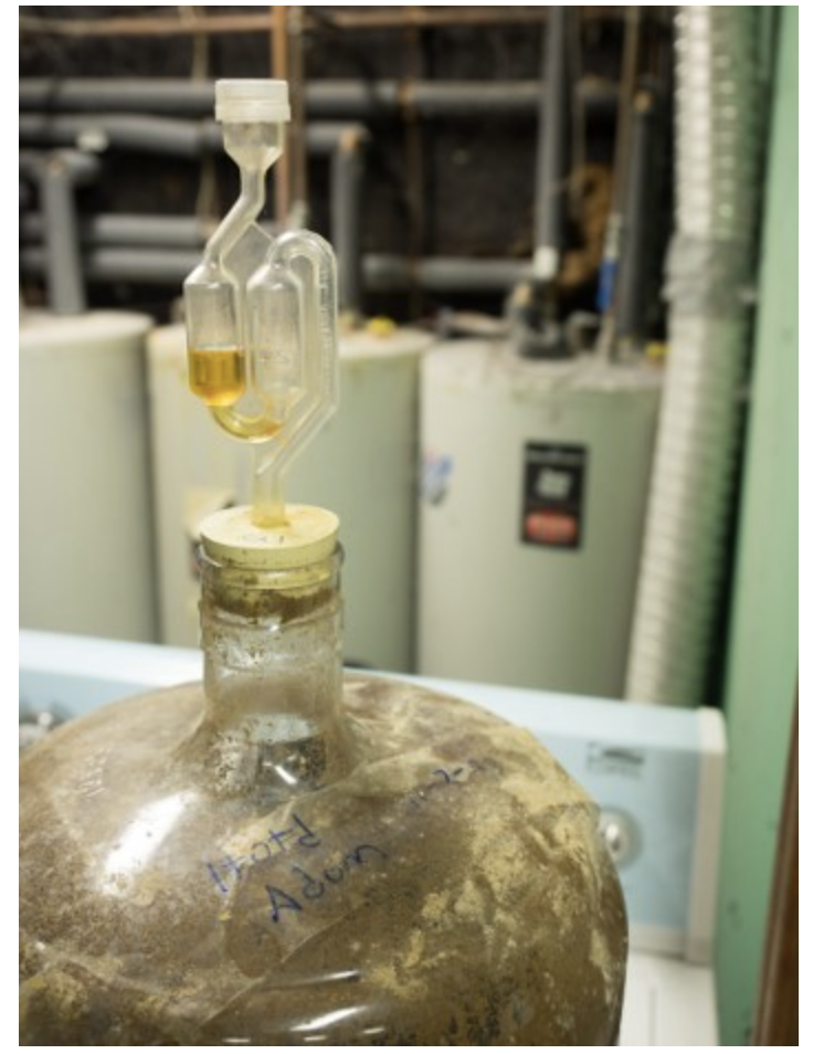 <p><span><span>Which gas must NOT enter the carboy in order for fermentation to occur?</span></span></p>