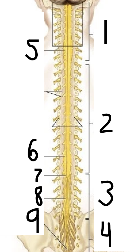<p>3</p>