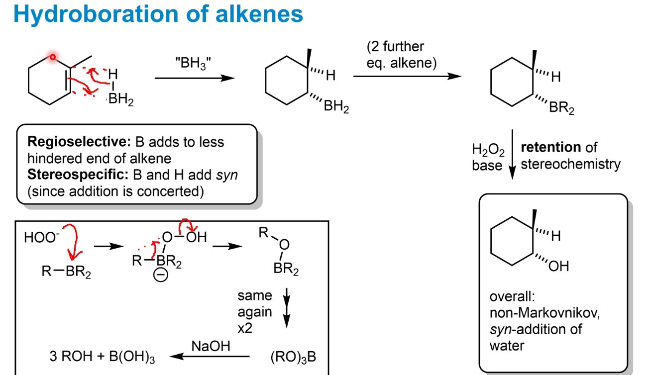 <p>Regioselective - B adds to less hindered end - producing the anti-Markovnikov product</p><p>Stereospecific - always syn- addition as concerted reaction</p>