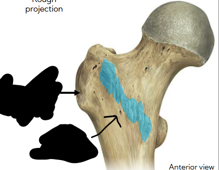 <p>name attachment </p>