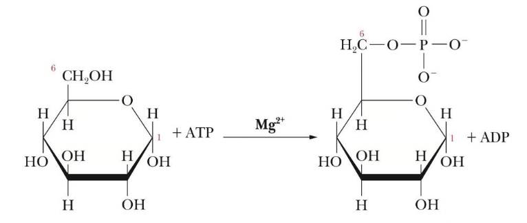 <p>What step of glycolysis is this?</p>