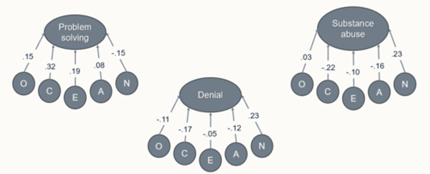 <p>problem solving = C, O, E</p><p>Denial = N </p><p>Substance abuse = N </p>