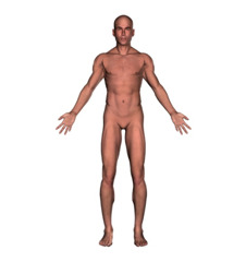 <p>Standard positioning of the body as standing; feet together; arms to the side; with head, eyes, and palms of hands forward.</p>