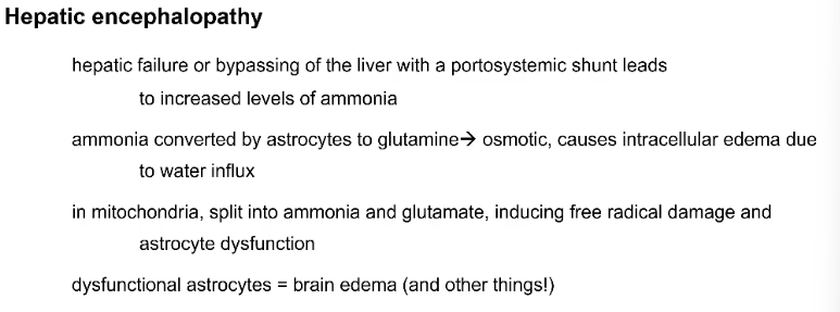 <p>Hepatic encephalopathy </p>