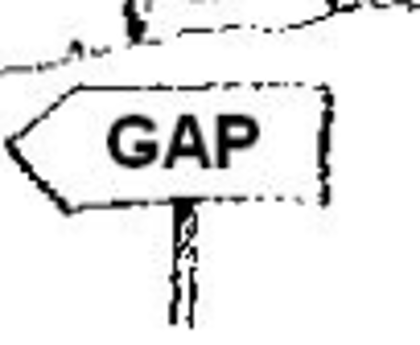 <p>Elles sont venues</p>