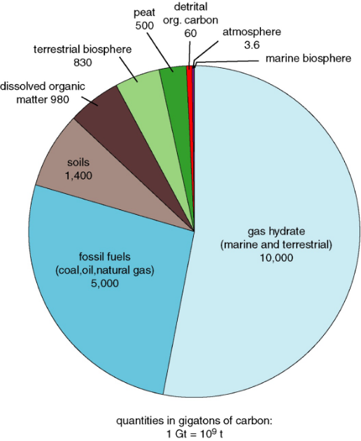 <p>Estimates of total reservoir range from:</p><p class="MsoListParagraphCxSpMiddle">1000 GtC (milkov, 2004, ESR) to 10,000 GtC (kvenvolden, 1998)</p><p class="MsoListParagraphCxSpLast">1 GtC = 1 PgC = 10^15 gC</p><p class="MsoListParagraphCxSpLast">if this carbon were to be released it would seriously accelerate global climate change</p>