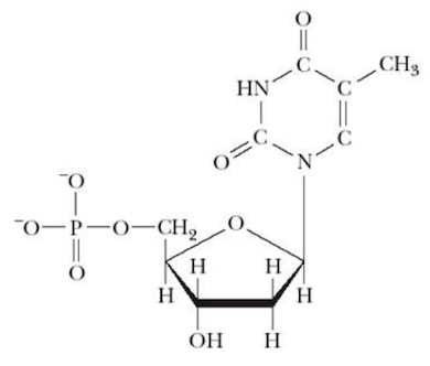 <p>Name that structure.</p>