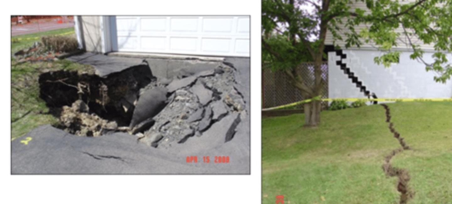<p>- Habitat loss</p><p>- Noise</p><p>- Dust</p><p>- Turbid drainage water</p><p>- Spoil heaps</p><p>- Surface subsidence</p>