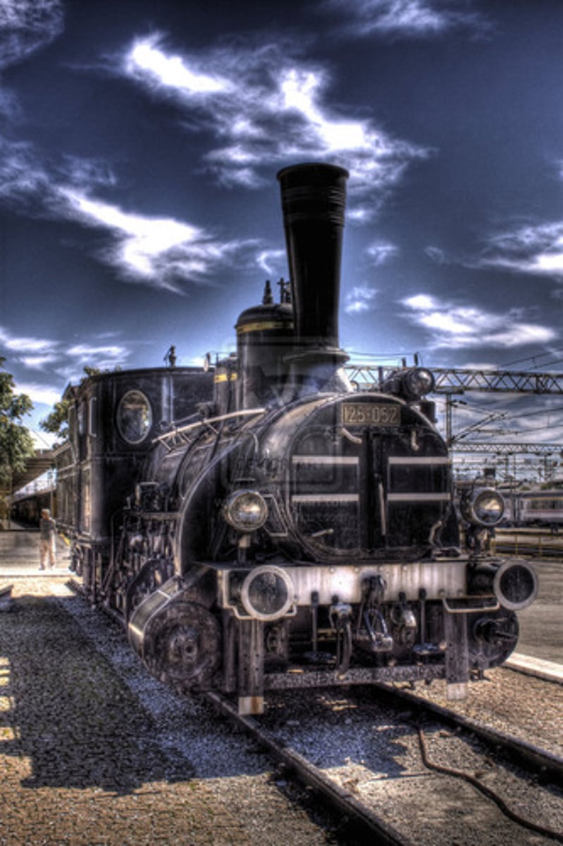 <p>movement, motion</p><p>이동 능력</p>