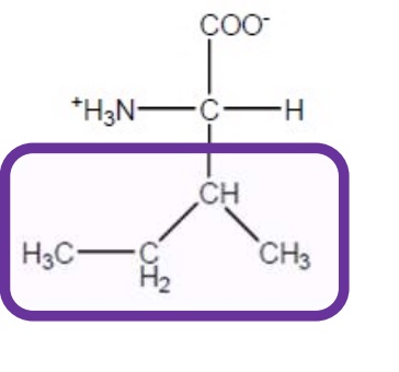 <p>Ile-I-hydrophobic and aliphatic</p>