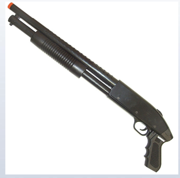 <p>what kind of gun is this</p>